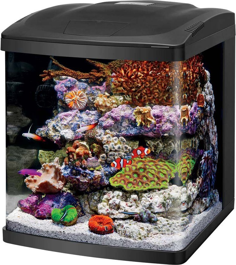 Coralife Biocube UV Sterilizer Lamp Fish Water Conditioner， 5 watts