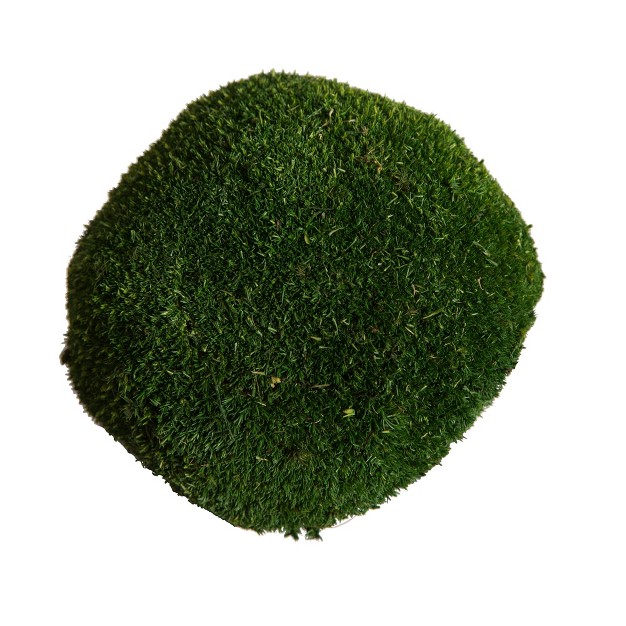 Vickerman Natural Botanicals 1  Lb. Apple Green Pole Moss.