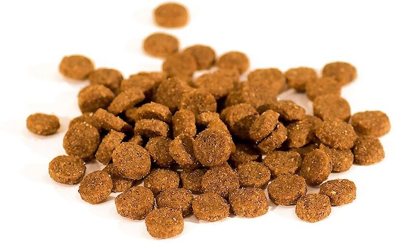 Wishbone Pasture Grain-Free Dry Cat Food