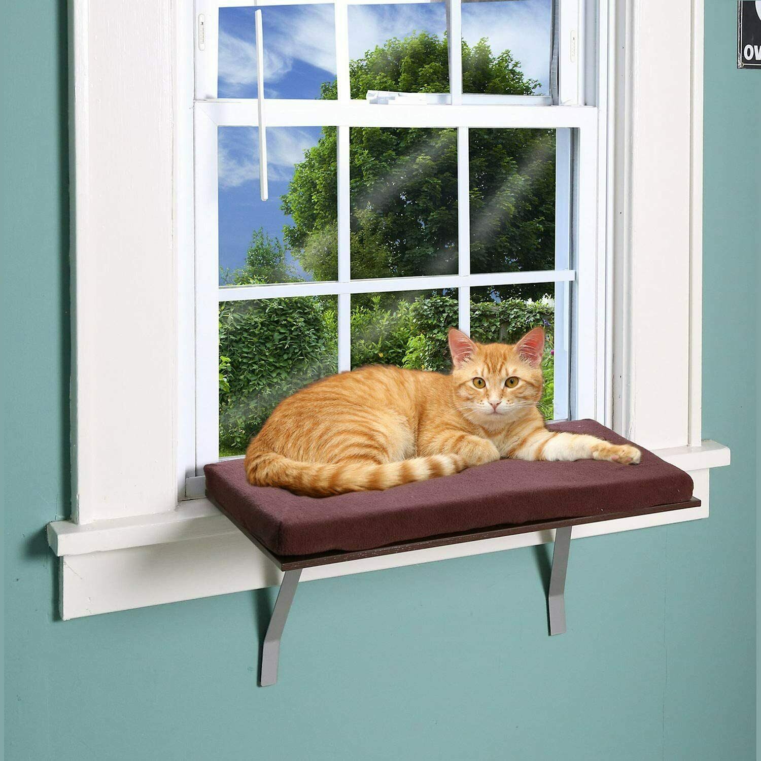 Cat Window Seat Bed -Window Perch Ledge for Cats -Foam Cushion Deluxe Kitty Window Perch