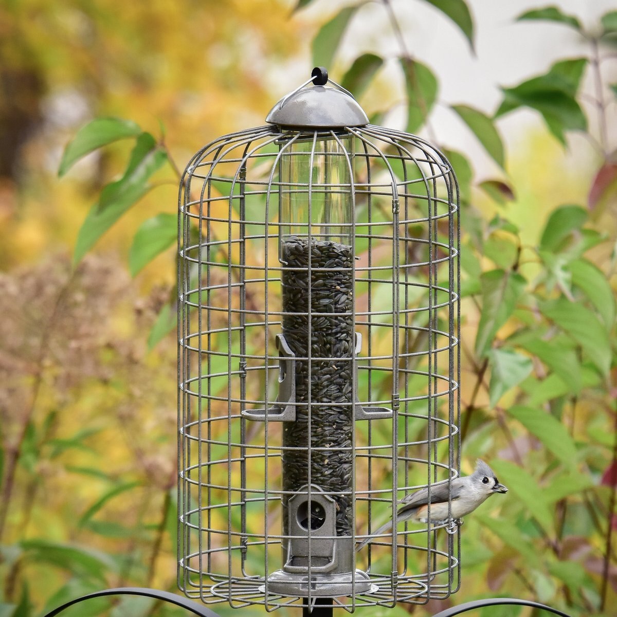 Frisco Ultra Squirrel Defense Wild Bird Feeder