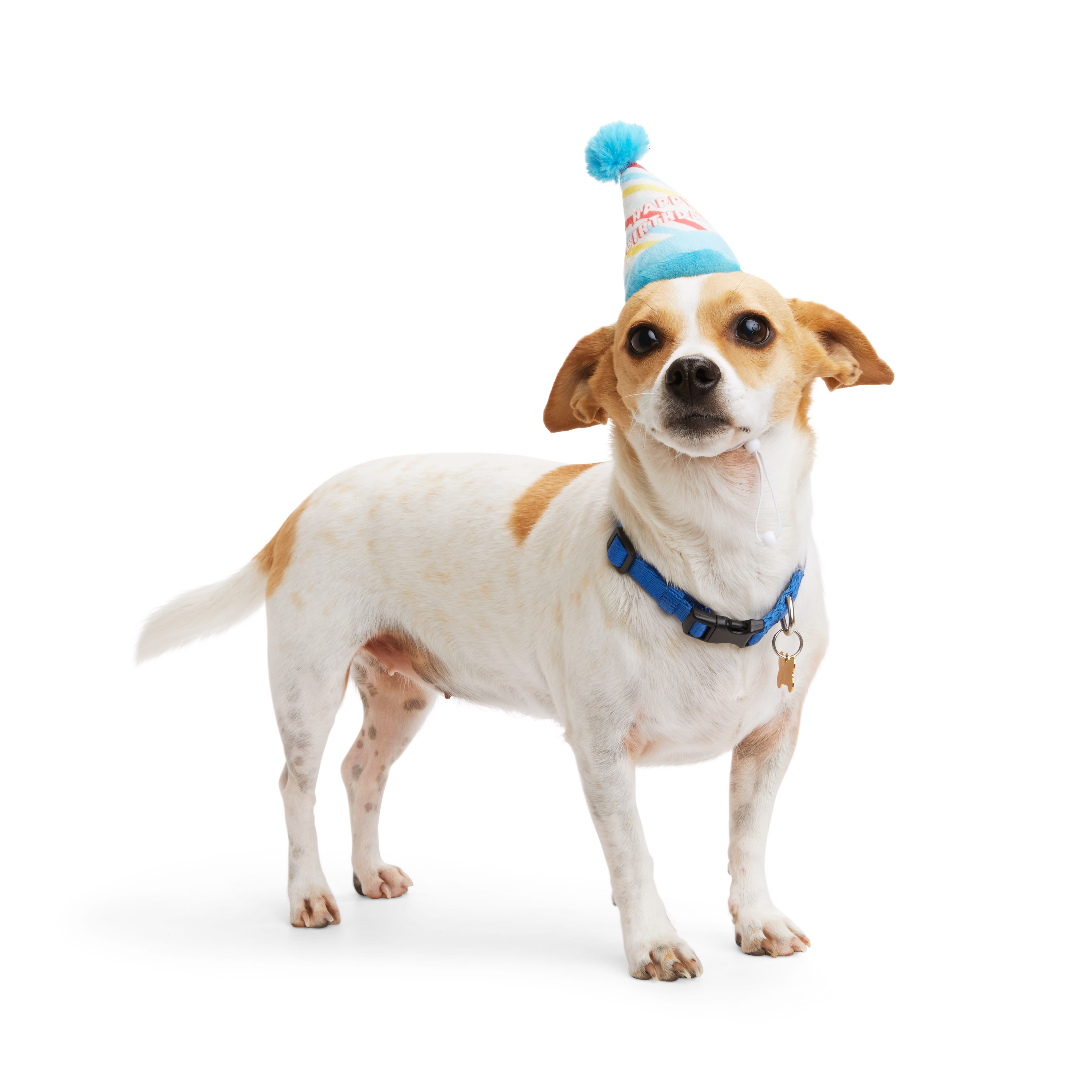 YOULY Birthday Dog Hat， Small/Medium