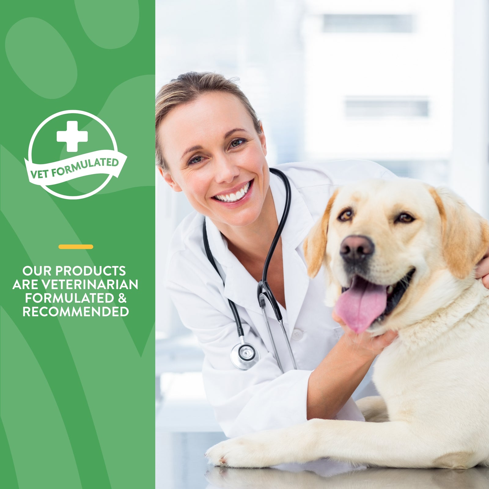 NaturVet Advanced Probiotic  Enzymes Powder for Dogs and Cats