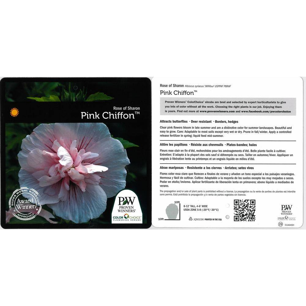 PROVEN WINNERS 4.5 in. Qt. Pink Chiffon Rose of Sharon (Hibiscus) Live Shrub Light Pink Flowers HIBPRC2137800