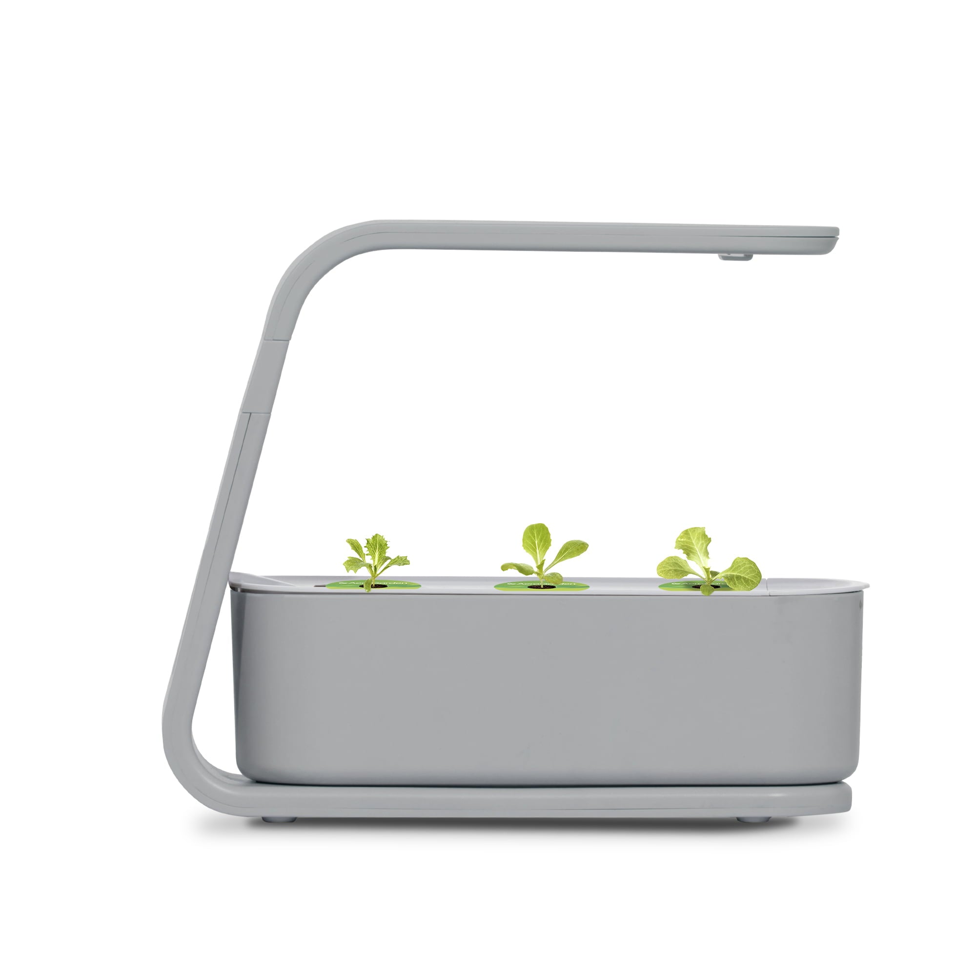 AeroGarden Sprout with Seed Starting System - Indoor Garden， Cool Gray