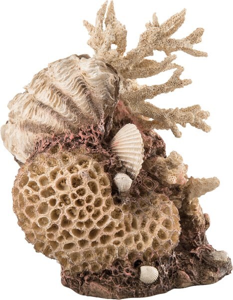 biOrb Coral Shells Aquarium Ornament， Neutral