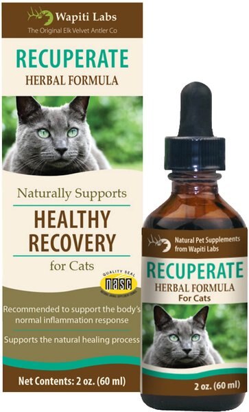 Wapiti Labs Recuperate Formula for Healthy Recovery Cat Supplement