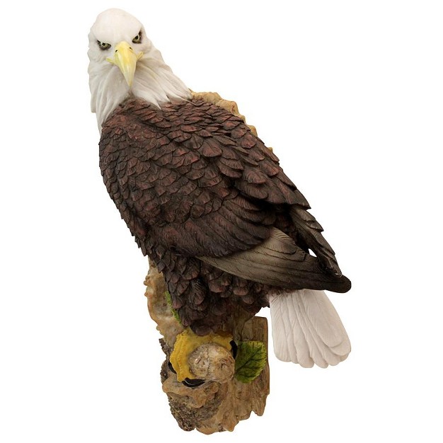 Design Toscano American Bald Eagle Bird Of Prey Wall Sculpture Multicolored