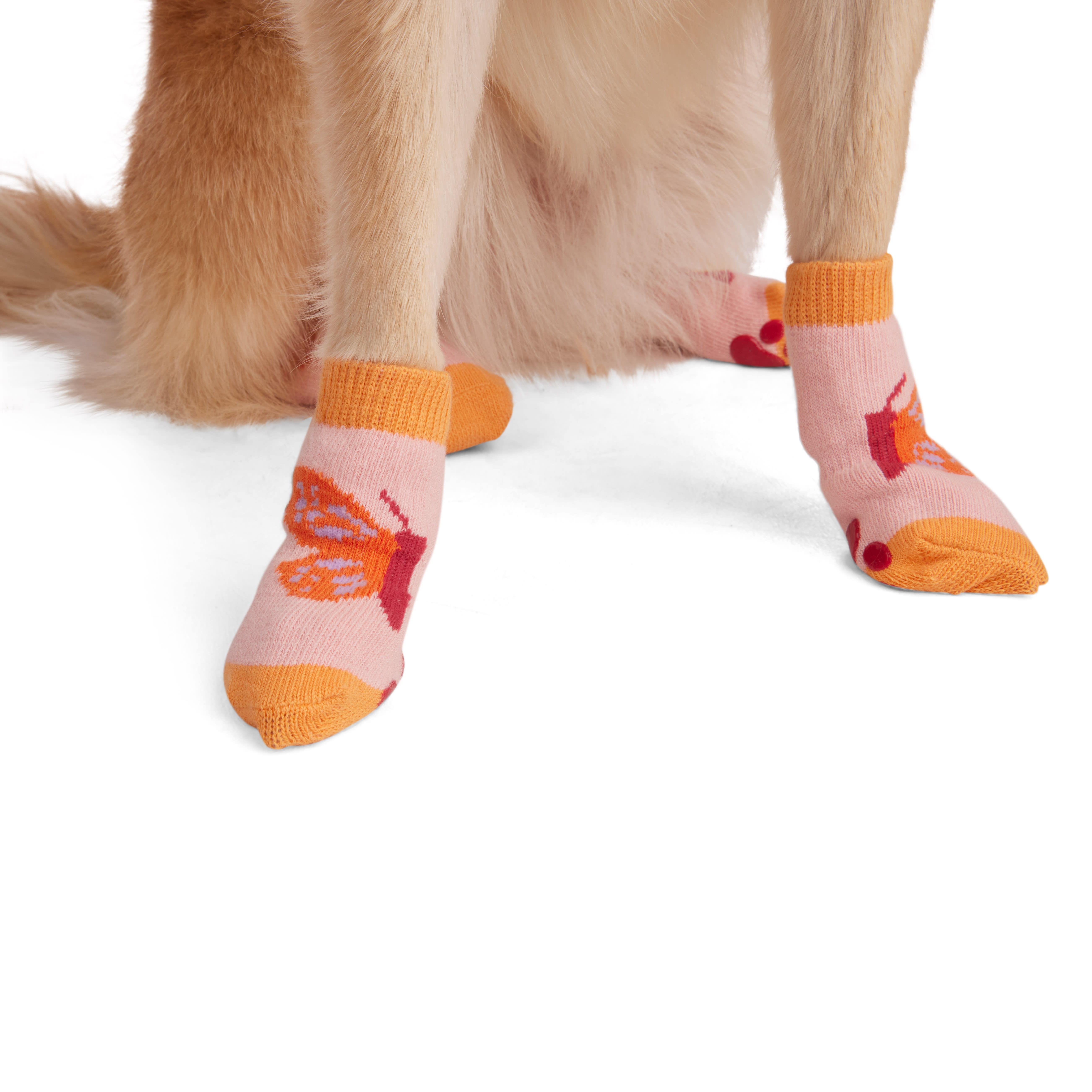 YOULY Butterfly Stripe Dog Sock， Small