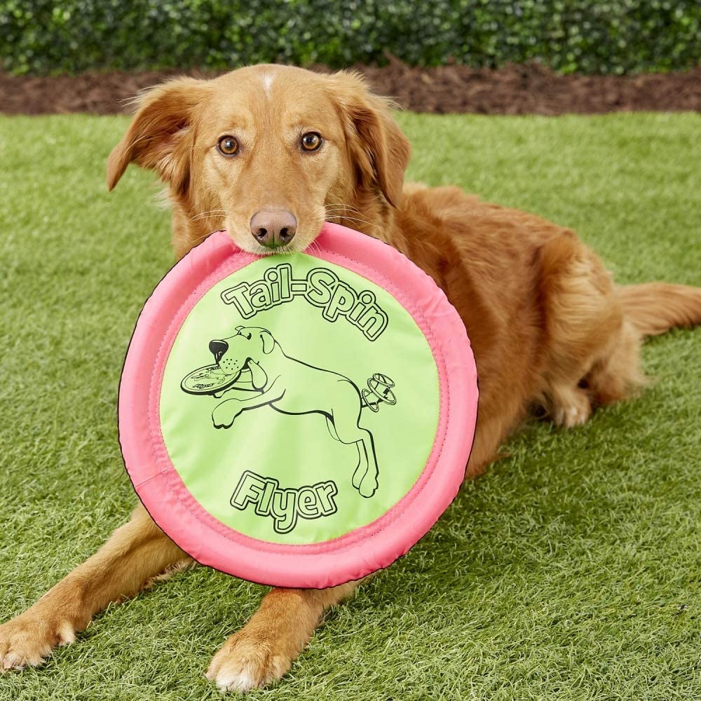 Booda Tail Spin Flyer Big Daddy Frisbee Dog Toy， Large