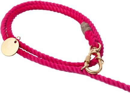 Found My Animal Adjustable Ombre Rope Dog Leash， 7-ft