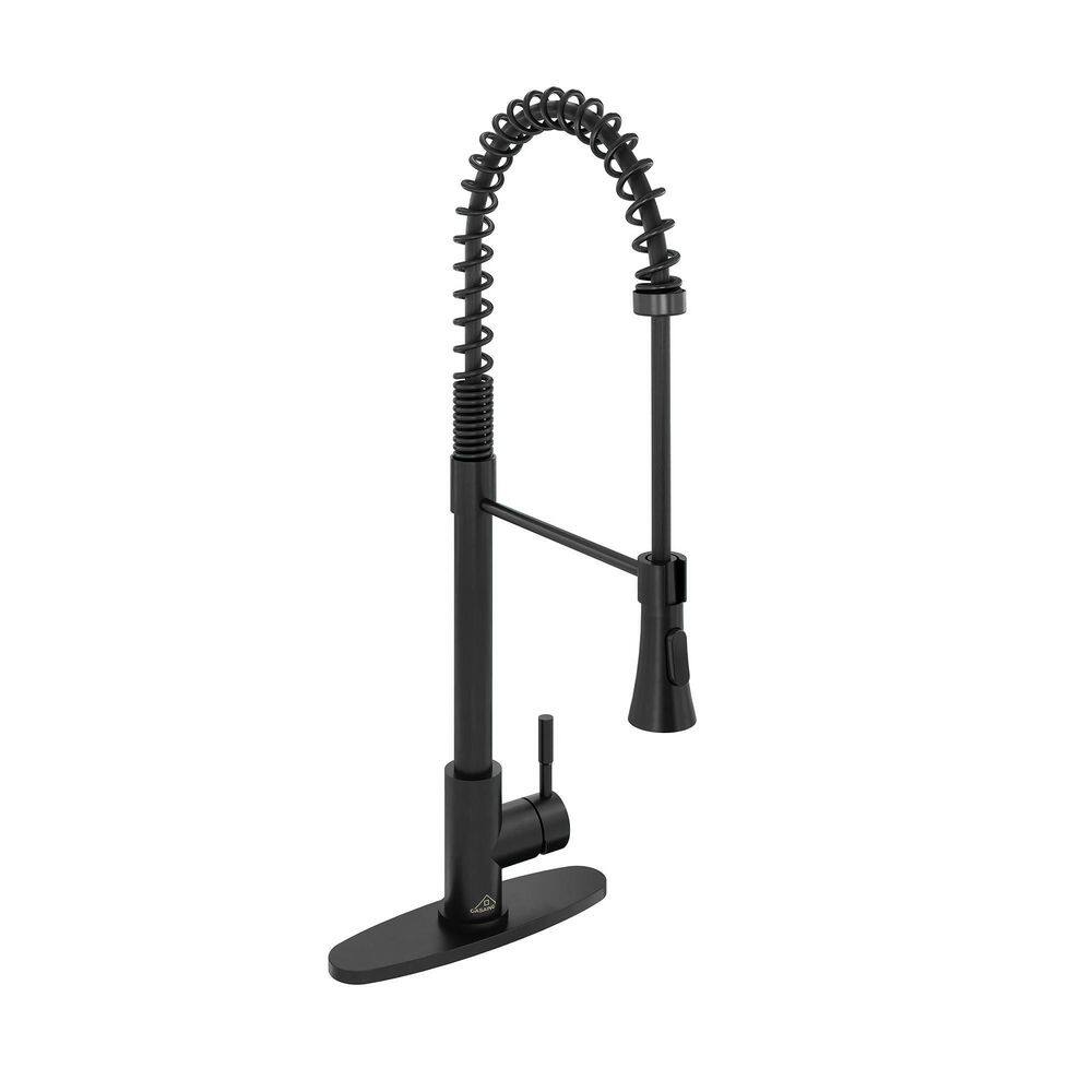 CASAINC Single-Handle Spring Pull Down Sprayer Kitchen Faucet in Matte Black with Dual Function Sprayhead and Deckplate CA-D0674-MB