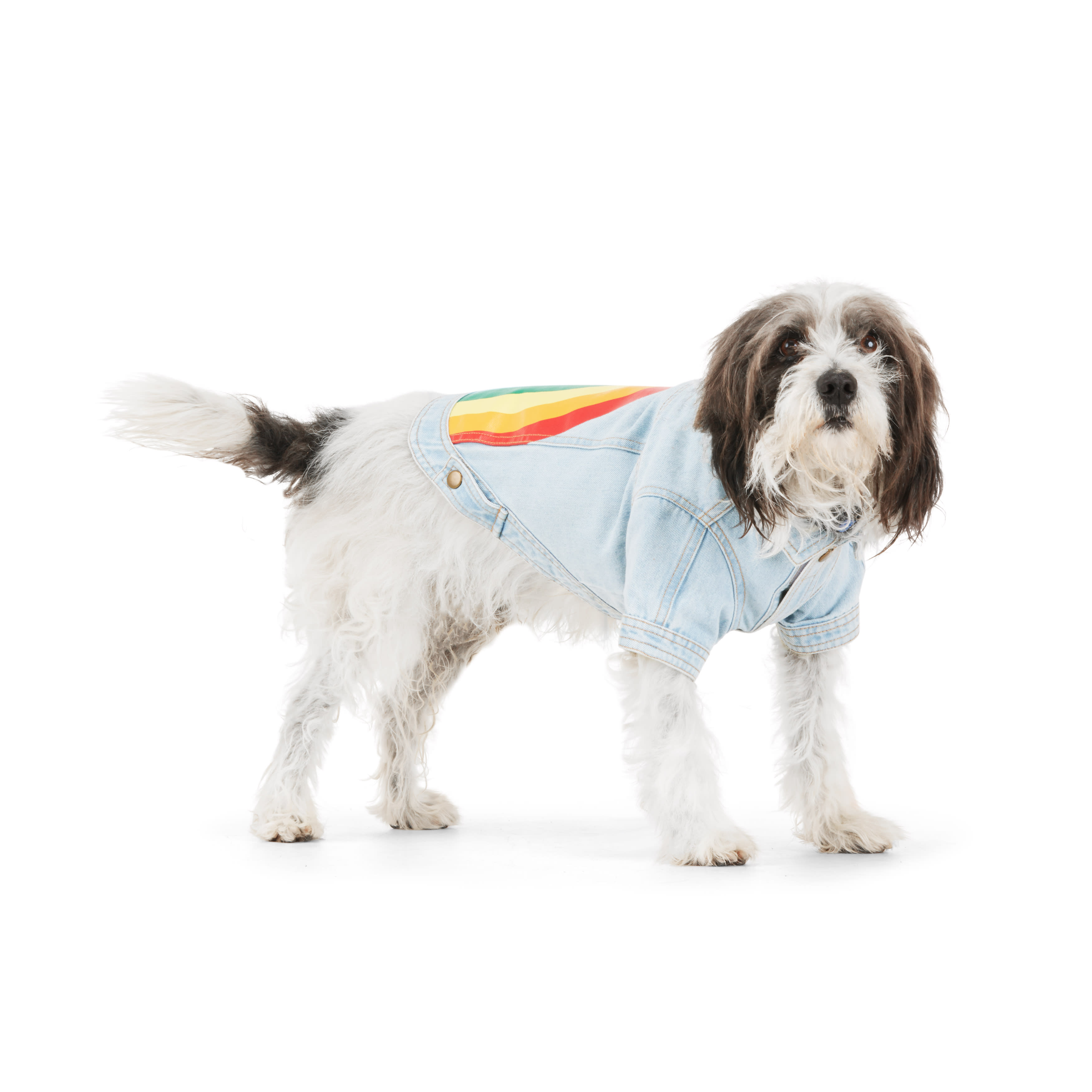 YOULY Rainbow Denim Jacket for Dogs， X-Small