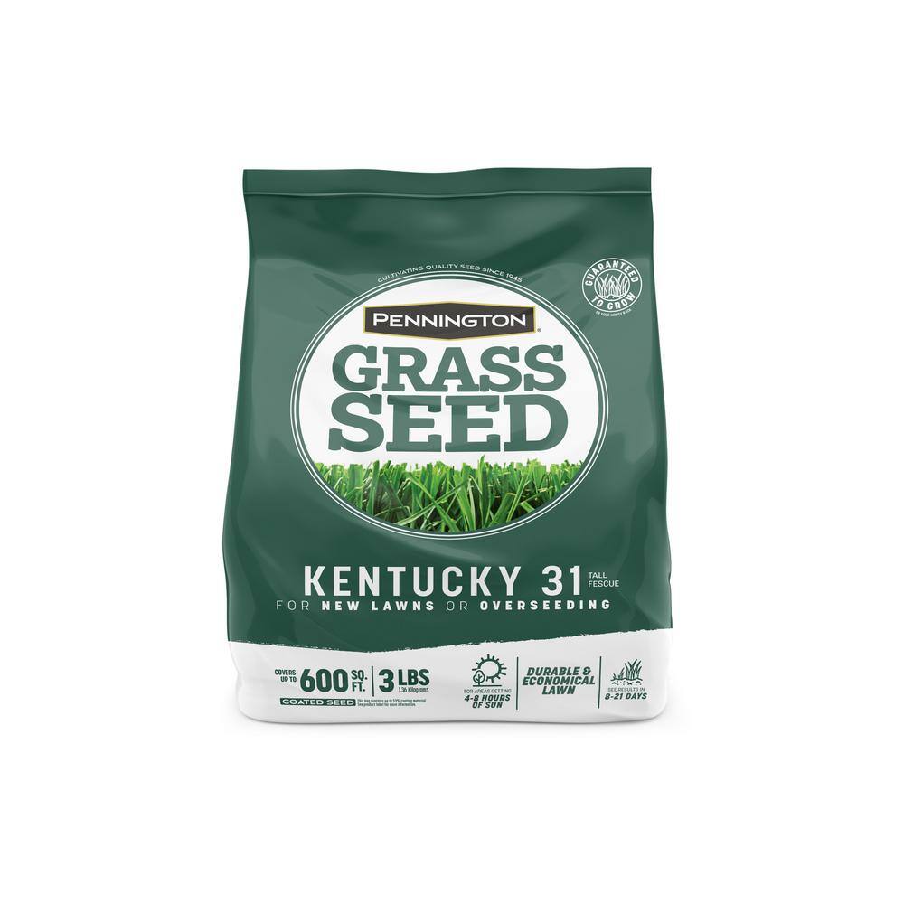 Pennington 3 lbs. KY 31 Fescue Grass Seed 100516048