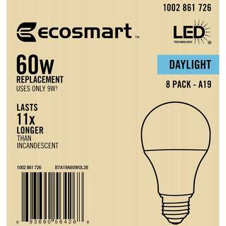 60-Watt Equivalent A19 Non-Dimmable LED Light Bulb Daylight (32-Pack) B7A19A60WUL38