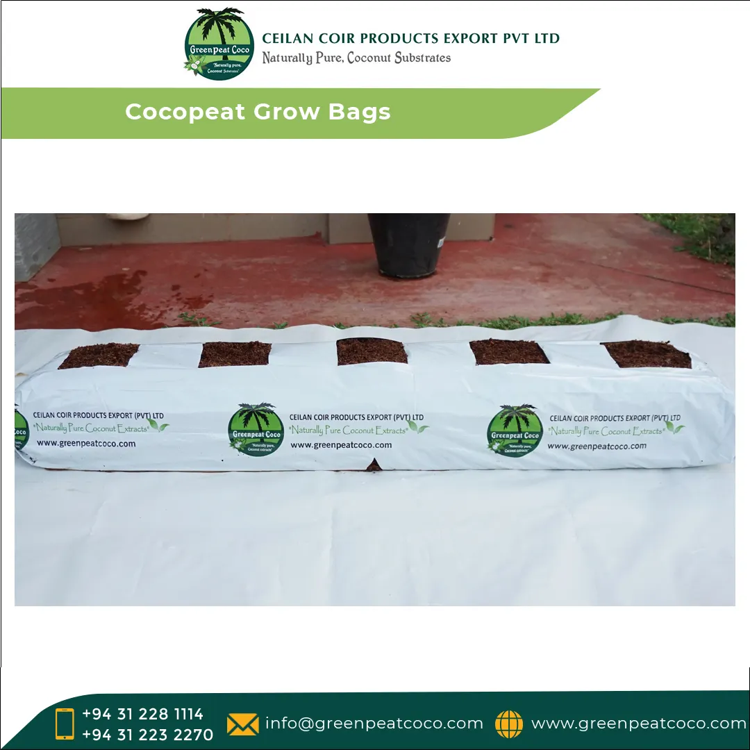 Leading Exporter of Top Quality Greenhouse Hydroponic Horticulture Natural Cocopeat Fiber Grow Bags for Garden Planters