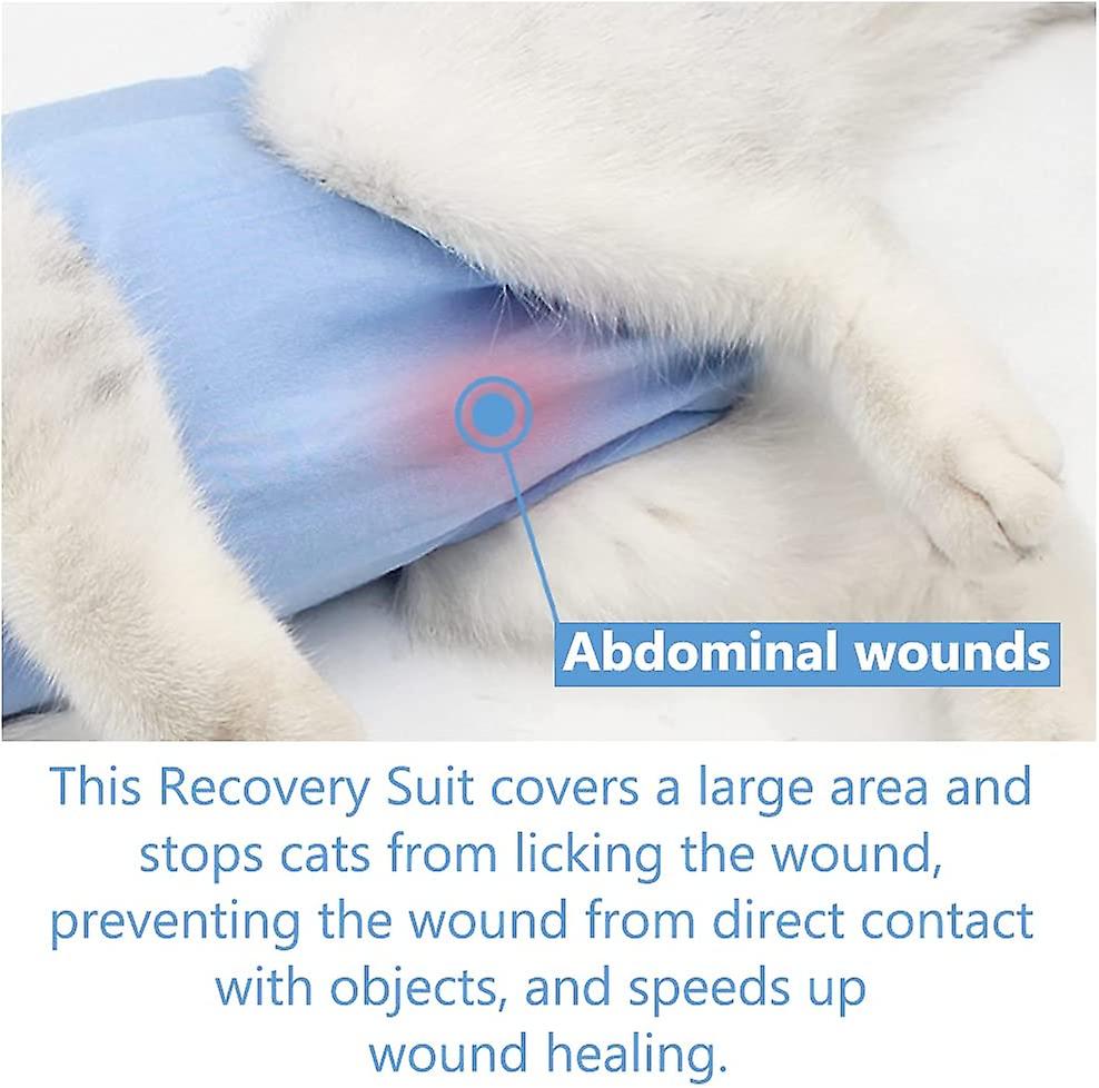 Cats Recovery Suit For After Surgery Protecting Anti-licking Wound Clothes For Kitten Professional Surgical Shirt For After Spay Wear Pet E-collar Sub