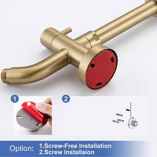 RAINLEX 3-Spray Patterns with 2.2 GPM 10 in. Wall Mount Dual Shower Heads in Spot Resist Brushed Gold RX2001LSJ