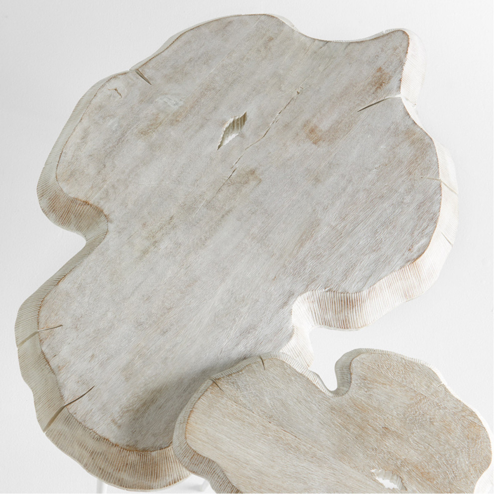 Palmer Coffee Table  Whitewash   Rustic   Coffee Tables   by Lighting New York  Houzz