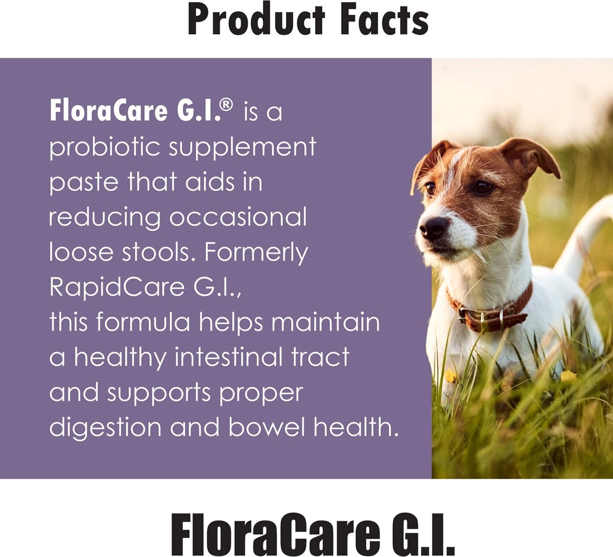 Ora-Clens FloraCare G.I. Dog and Cat Supplement