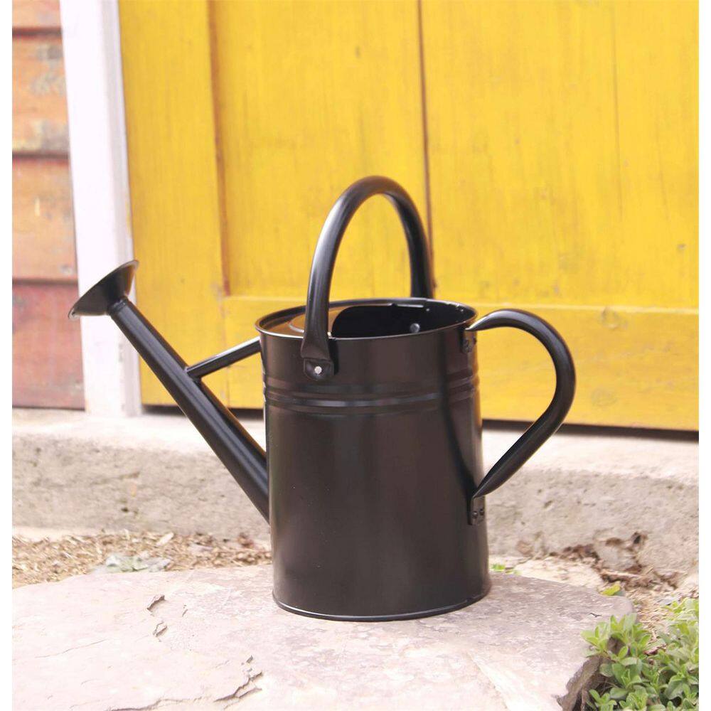 Dyiom 1 Gal. Black Metal Plant Watering Can with Handles Galvanized Steel Watering Pot B09GVGFDKH