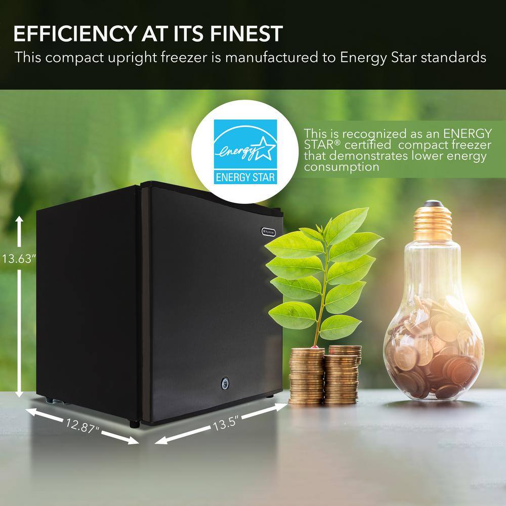 Whynter 1.1 cu. ft. Portable Freezer in Black with Lock ENERGY STAR CUF-110B