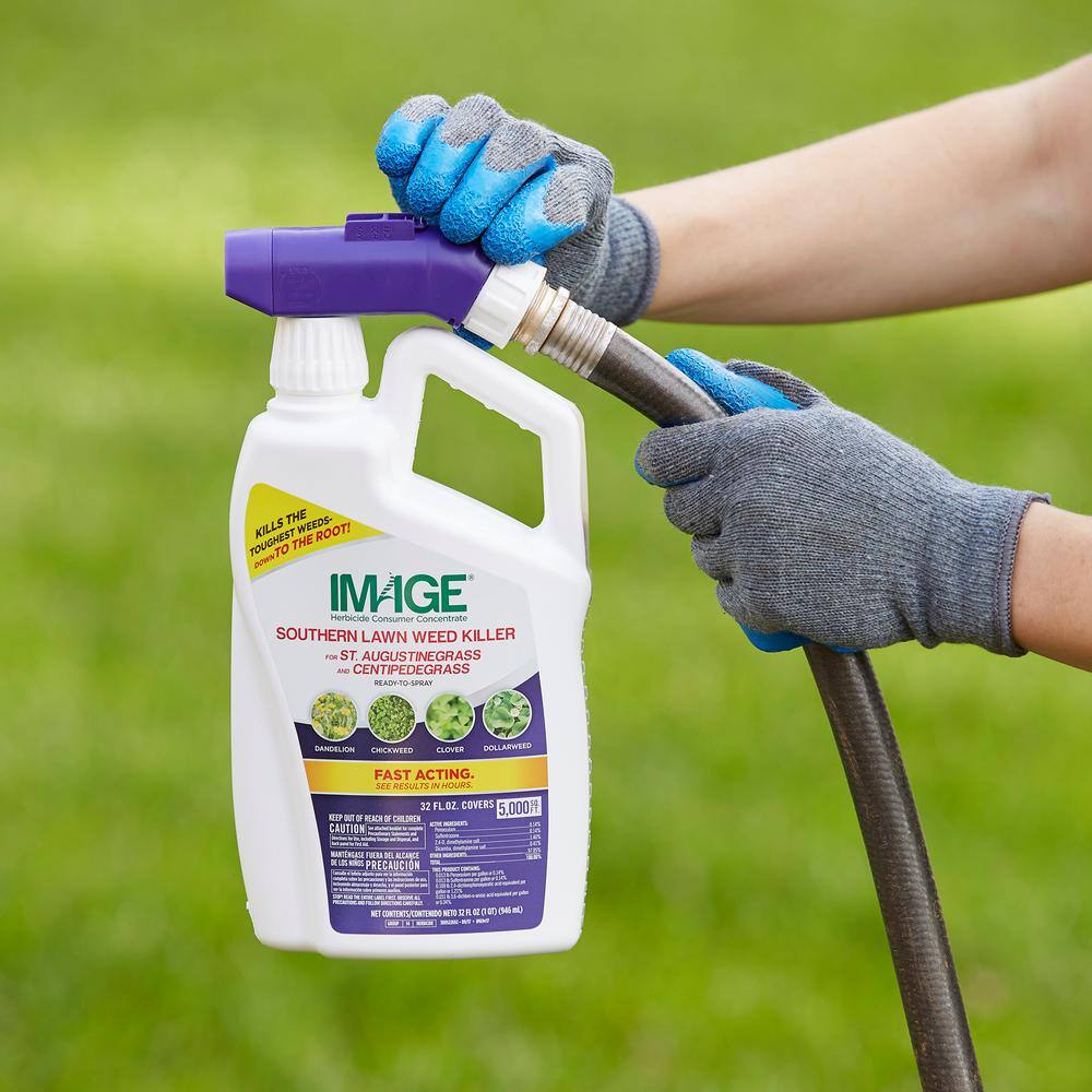 IMAGE 32 oz. Southern Lawn Weed Killer Ready-To-Spray 100530415