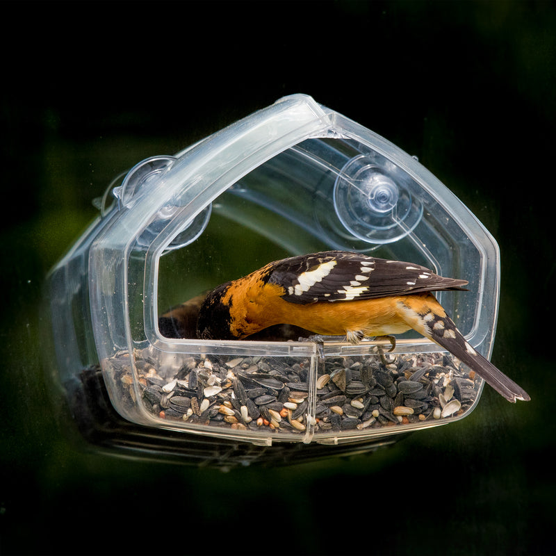 WINDOW BIRD FEEDER CLEAR