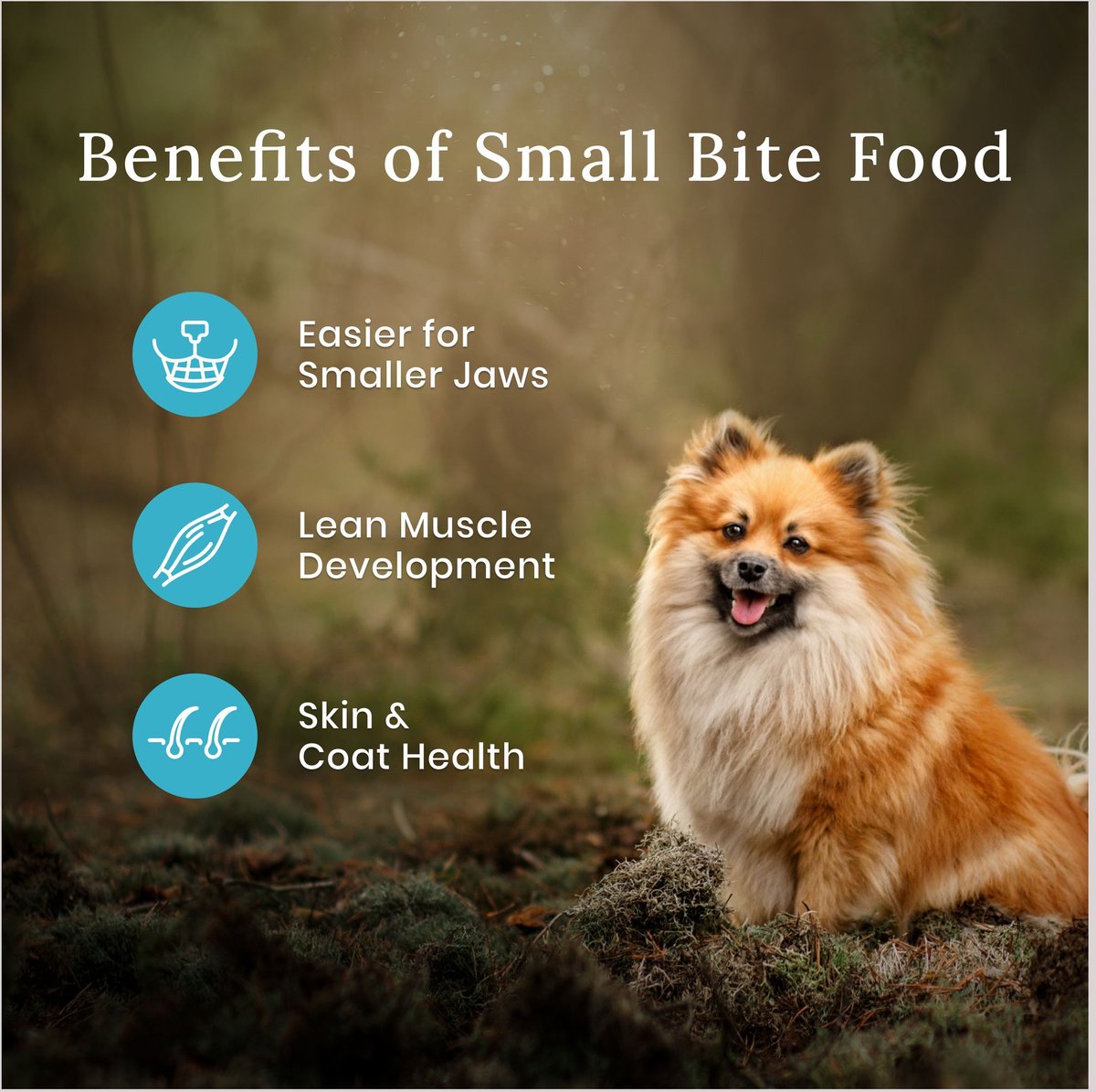 Blue Buffalo Wilderness Small Breed Chicken Adult Dry Dog Food