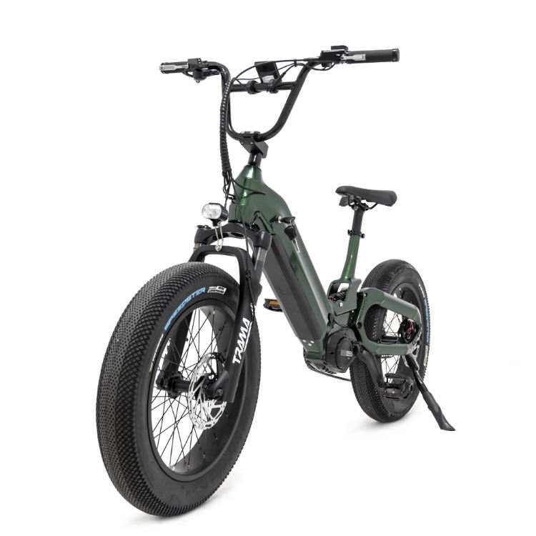 Mario Electric Bicycle 48v 250w Mid Drive Motor City E Bike Electric Road Cycling For Adult