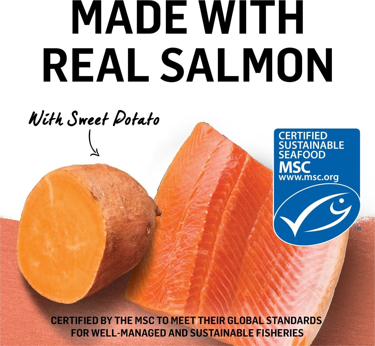 Purina Beyond Wild Alaskan Salmon and Sweet Potato Recipe in Gravy Canned Cat Food