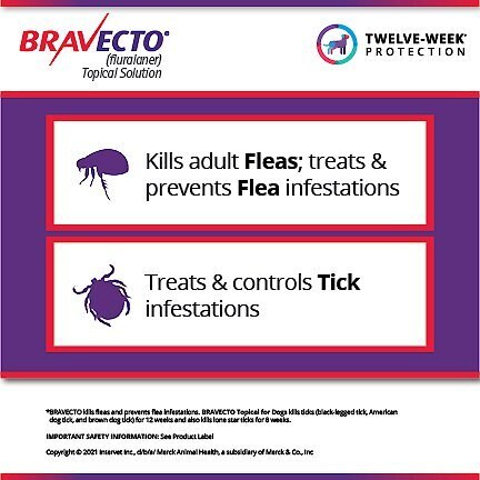 Bravecto Topical Solution for Dogs， 9.9-22 lbs， (Orange Box)