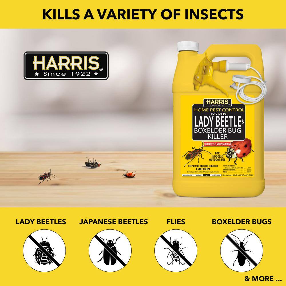 Harris 1 Gal. Asian Lady Beetle and Box-Elder Bug Killer HBXA-128