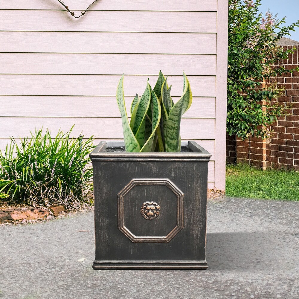 DurX litecrete Lightweight Concrete Lion Head Square Bronze Planter Medium   12.6'x12.6'x12.6'