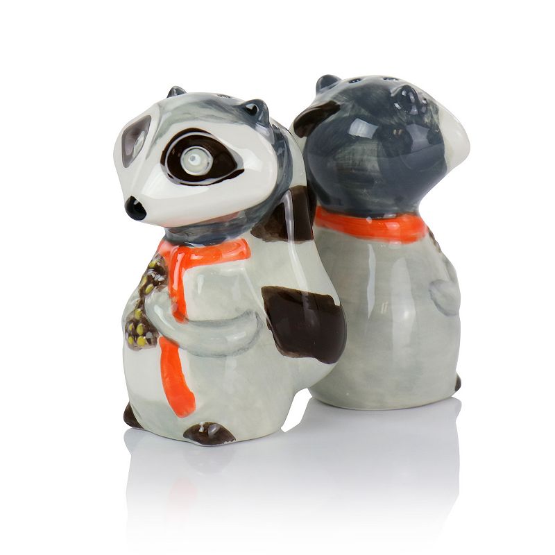 Gibson Everyday Woodland Raccoon 2 Piece Hard Dolomite Salt and Pepper Set