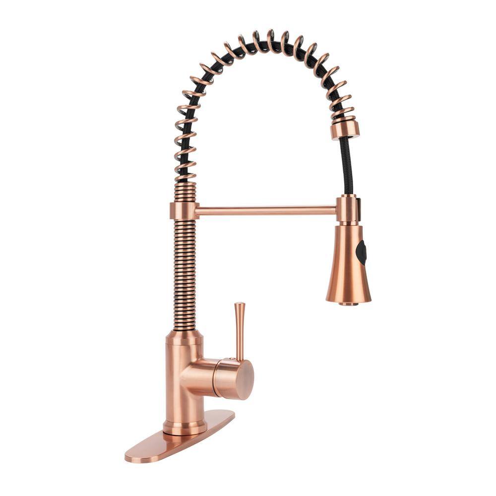 Fontaine by Italia Single-Handle 1 or 3 Hole Residential Pull-Down Sprayer Kitchen Faucet with 2-Spray Heads in Antique Copper N96565FC-DP-AC