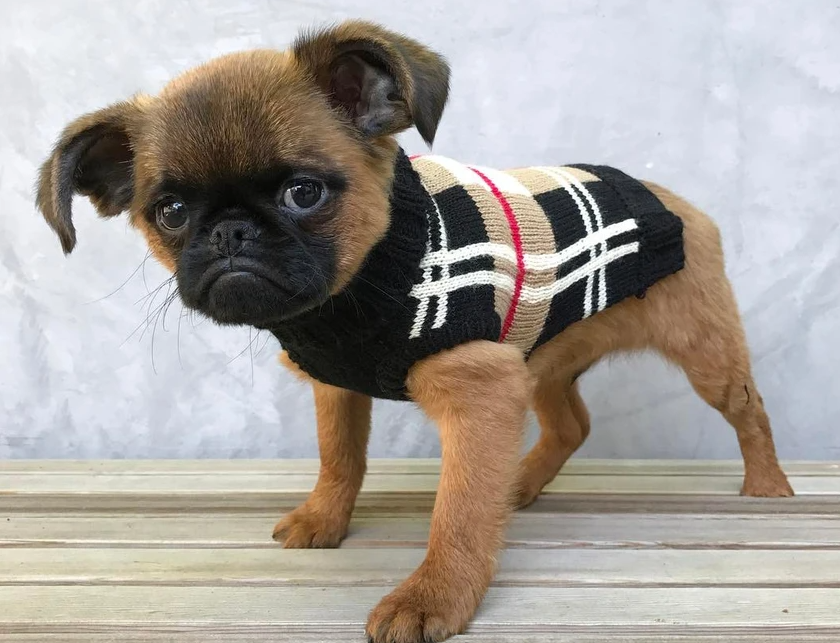 Fabdog Camel Plaid Sweater andndash; Pet Empire and Supplies