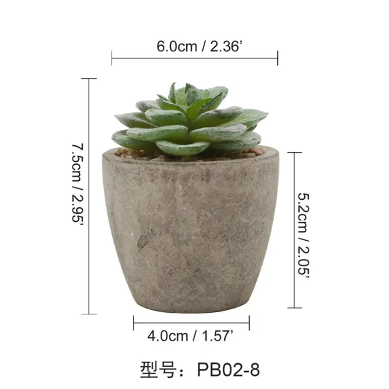 Livingroom Wholesale Succulent Plant Pot Gift for Indoor Home and Office Decoration