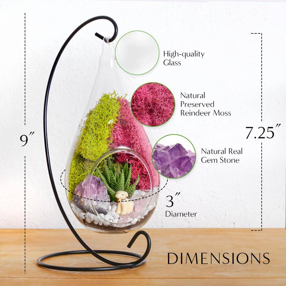 Creations by Nathalie DIY Terrarium Kit with Live Succulent Glass Teardrop Metal Stand Reindeer Moss Crystals Rocks Tools and Figurine CW-OS3V-7UGJ