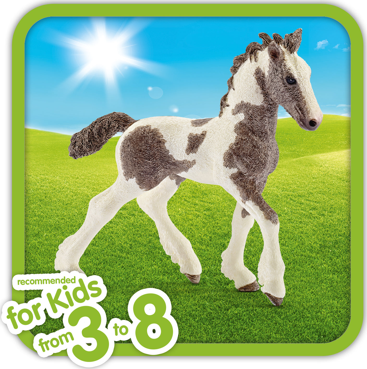 Tinker Foal