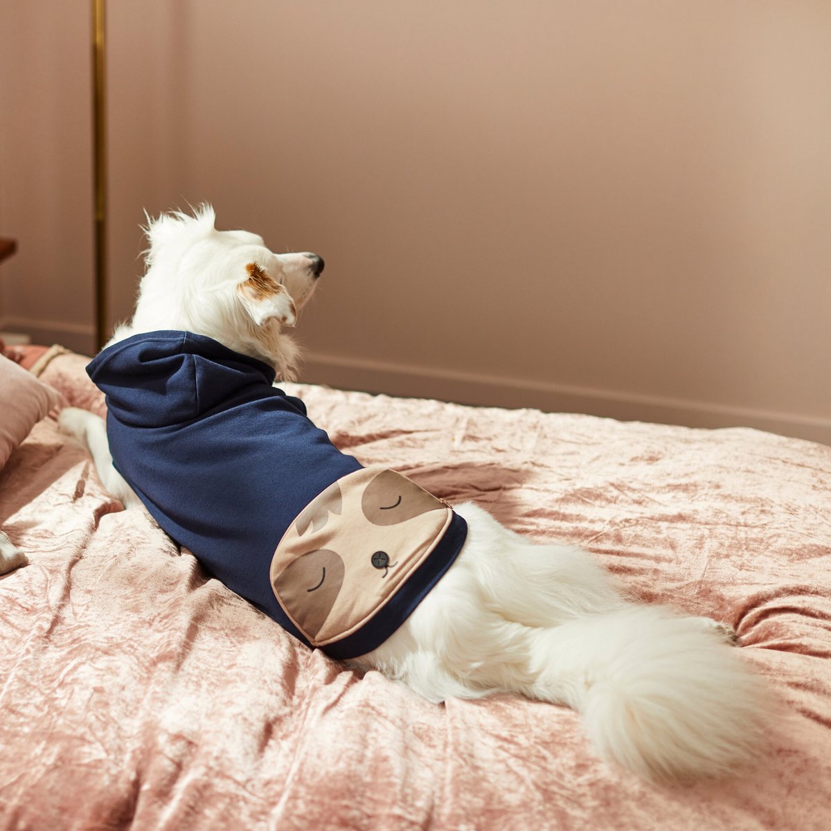 Frisco Sloth Pocket Dog and Cat Lightweight Hoodie