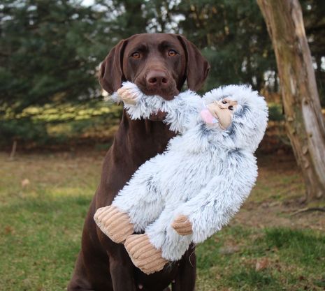 Tall Tails Yeti Squeaker Toy for Dogs