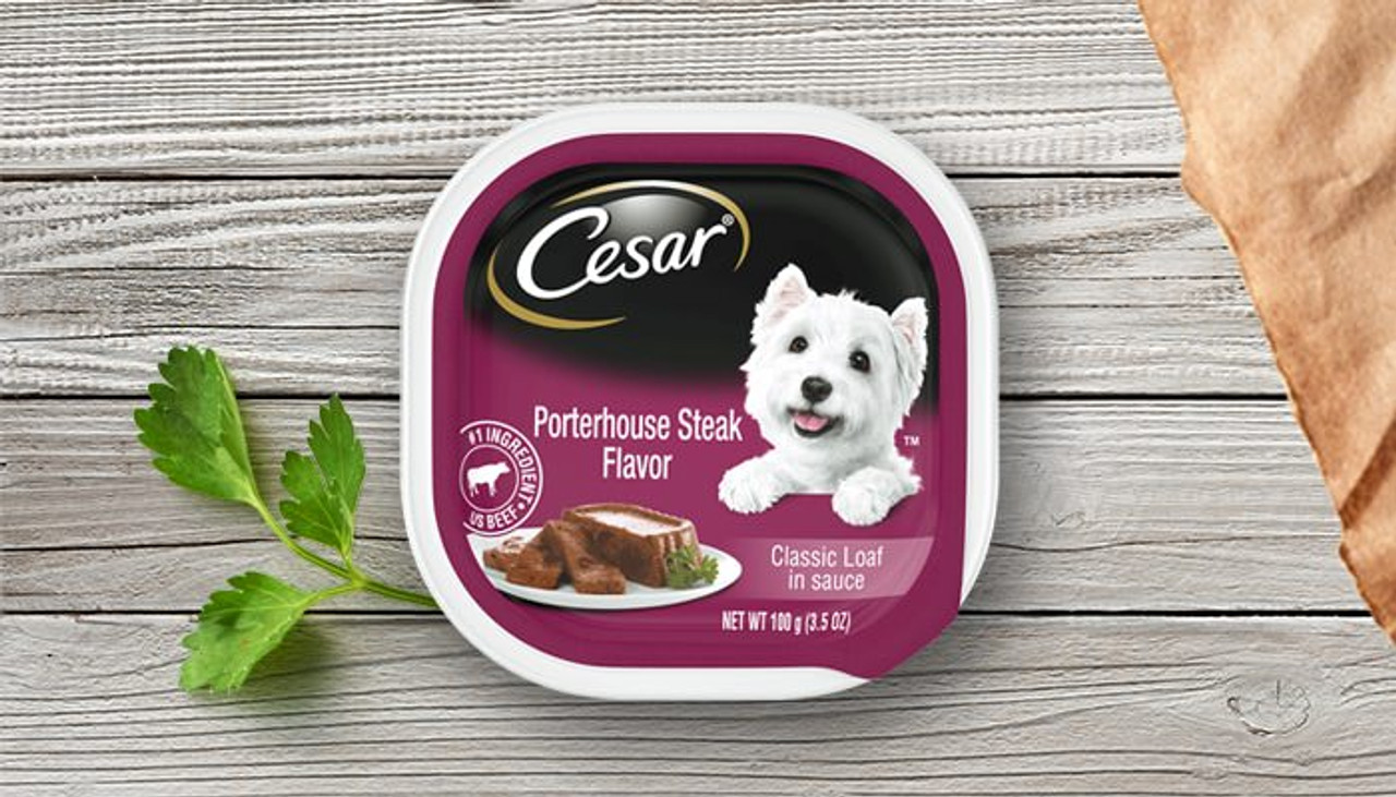 Cesar Porterhouse Steak Classic Loaf In Sauce Wet Dog Food， 3.5 Oz.