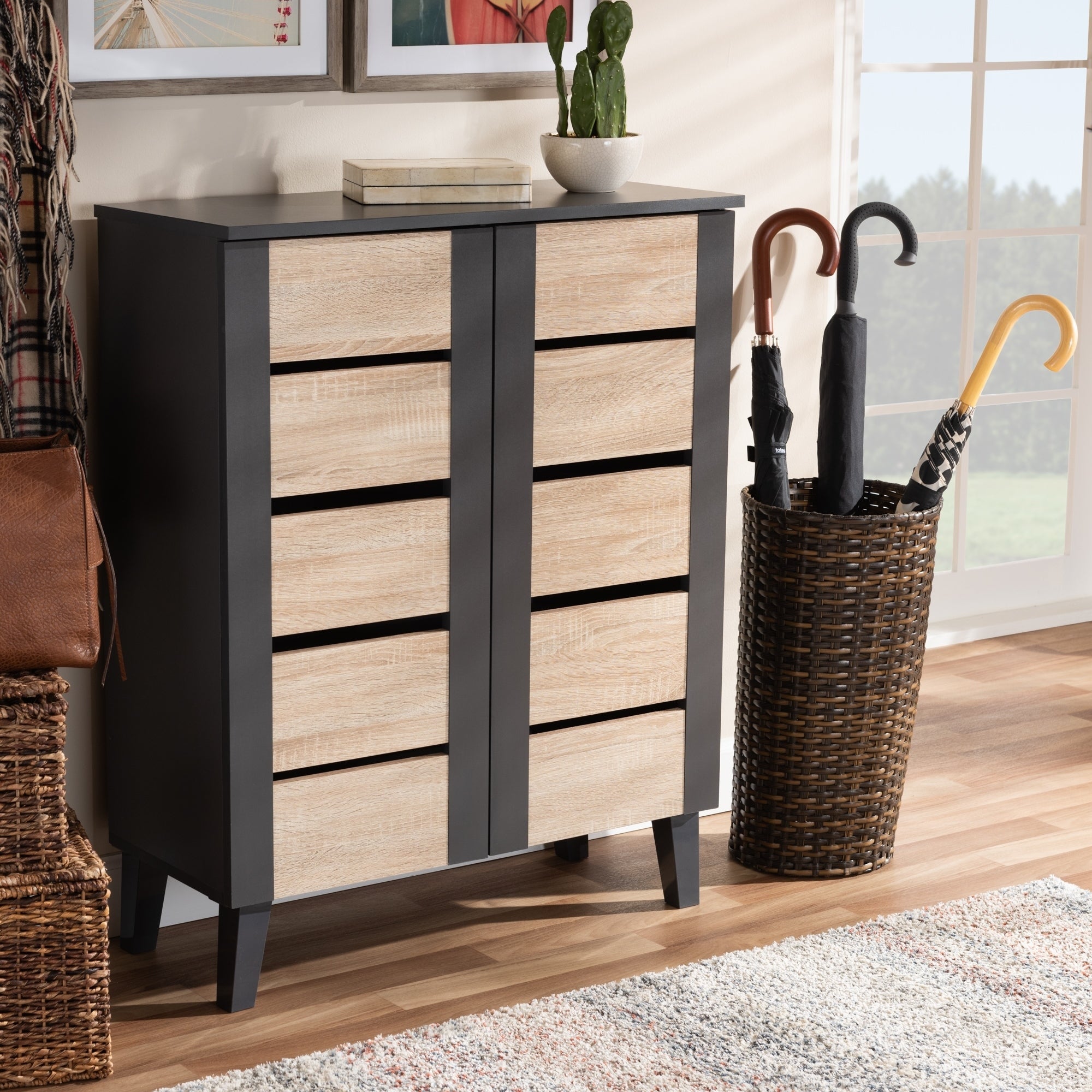 Modern and Contemporary Two-Tone 2-Door Shoe Storage Cabinet - - 27147072