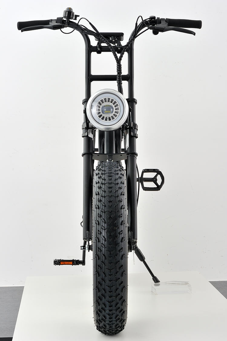 High Quality 500w 750w 48v 10.4ah Dirt E bike 20 Inch Adult Electric Fat Tyre Mountain Cycle Bike