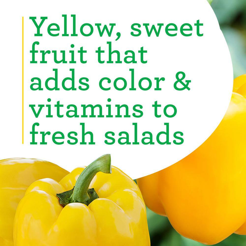 Bonnie Plants 19 oz. Yellow Bell Pepper Plant 2102