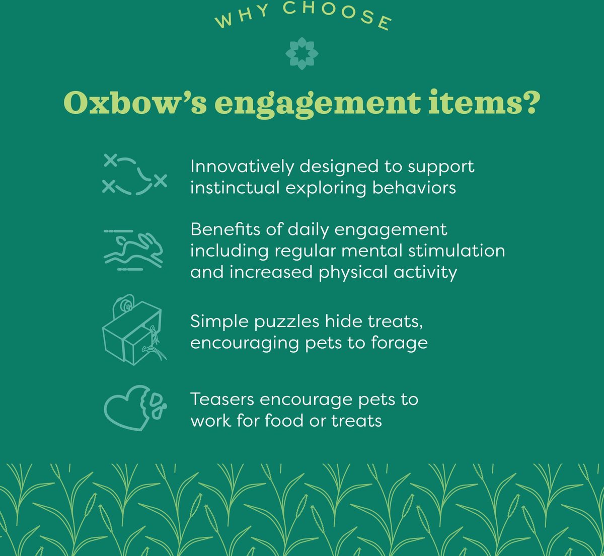 Oxbow Enriched Life Forage Pot Small Animal Chew Toy