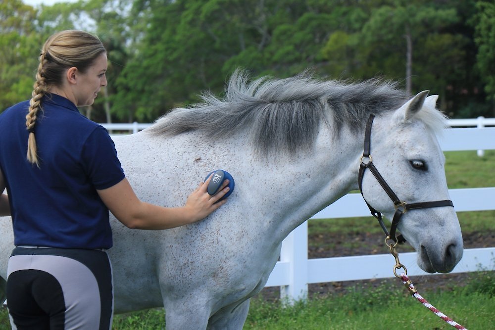 Oster Equine Care Coarse Curry Horse Comb