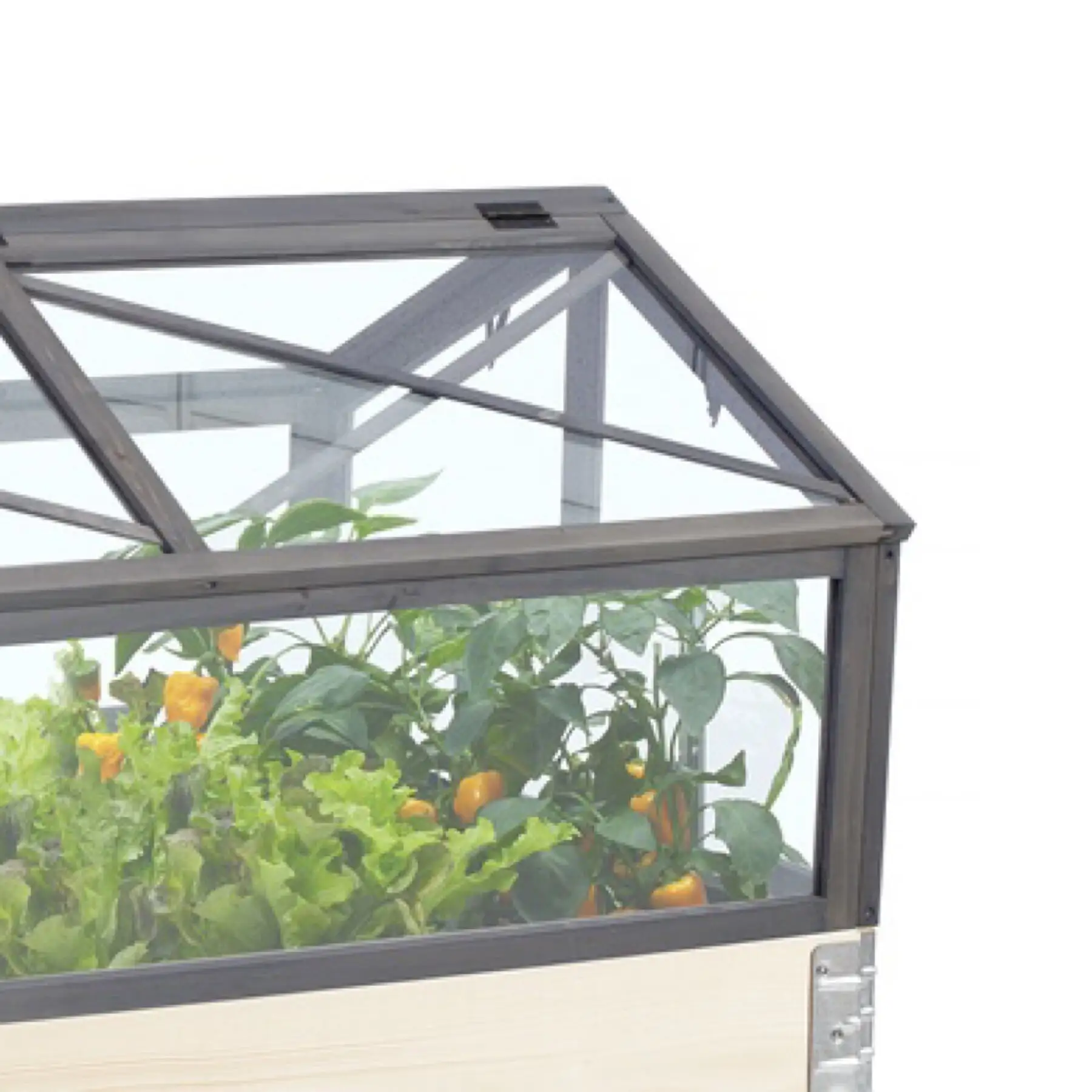 Portable Small Mini balcony Greenhouse with transparent plastic board glass looking for raised garden beds