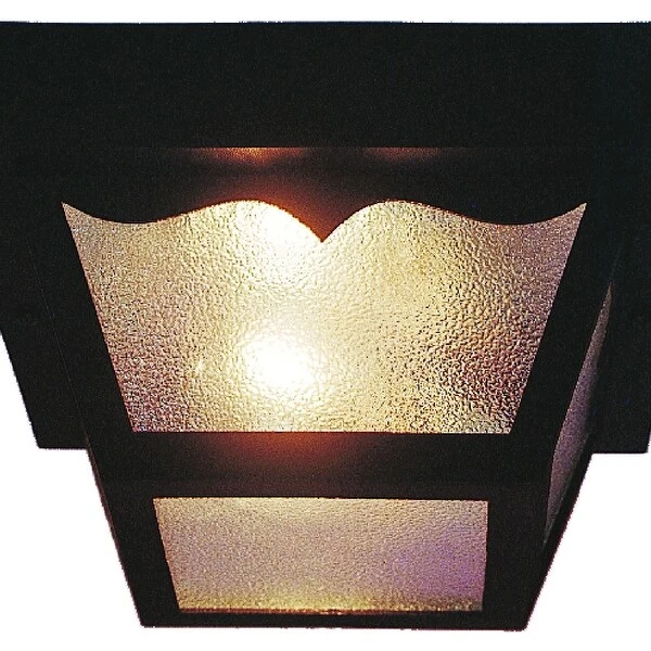 Volume Lighting 2-Light Black Outdoor Flush Mount